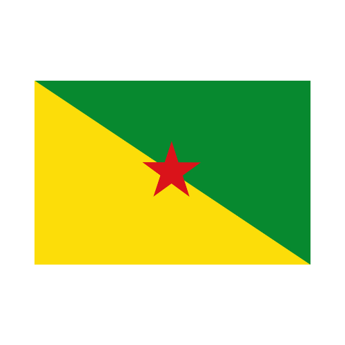 Autocollant MINI drapeau GUYANE